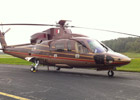 Helicopter Paint Completion